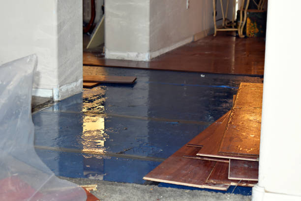 Professional Water Extraction technician working in Brumley, MO